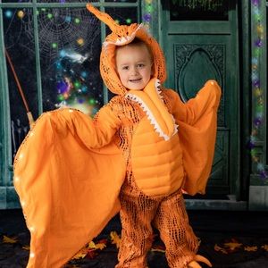Pottery barn pterodactyl light up costume